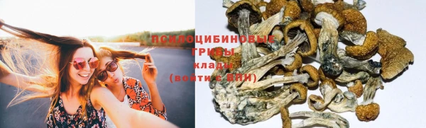 не бодяженный Алексин