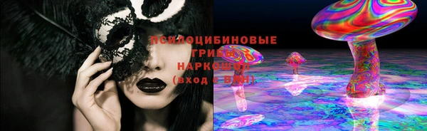не бодяженный Алексин