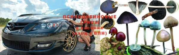 PSILOCYBIN Абинск