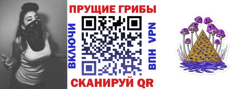 купить наркотики цена Егорьевск площадка формула Псилоцибиновые грибы прущие грибы
