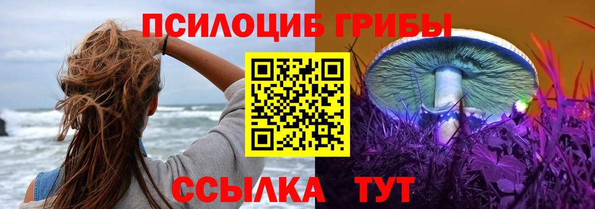 Егорьевск  Галлюциногенные грибы мицелий  Вход с VPN 